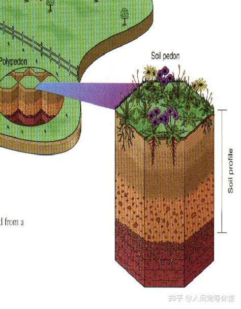 土壤生成五大因子 窗外鐵架